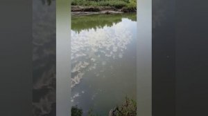 Кратко. Рыбалка в станице Темиргоевская.