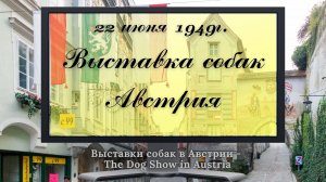 22 июня 1949г. Выставка собак в Австрии.