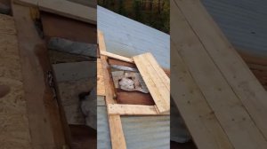 Монтаж строительных лесов для работ на крыше. Видео 2/2