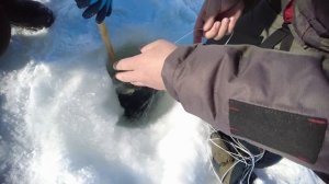 КРАБалка. САХАЛИНская. Ловля краба зимой.  2022г.