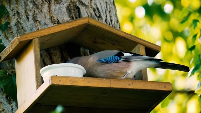 Музыка с частотой 432 Гц. Музыка для сна. смотреть онлайн