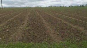 Модернизация моего Пропольника