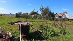 Кошу ботву у картошки триммером .Жизнь в деревне.