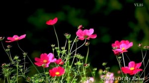 Ernesto Cortazar   Beautiful Piano Music