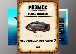 Мутанты рр3. Хемихромис-красавец 2 рр3. Нил.