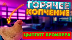 Рецепт горячего копчения цыплят. Простой надёжный способ.