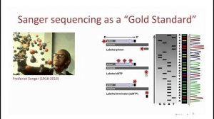 3   1   Основные понятия  Секвенирование по Сэнгеру Basic concepts  Sanger sequencing