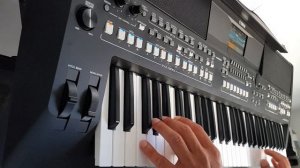 [PSR-SX600] Strangers in the Night