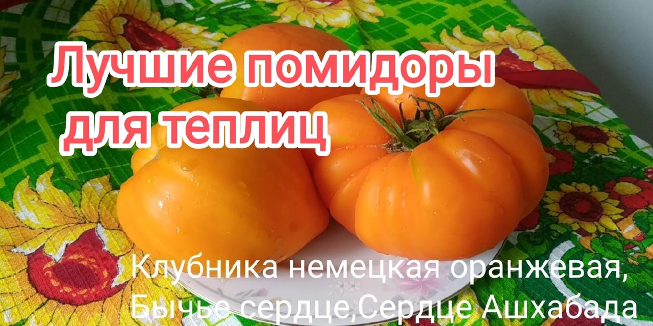 Лучшие сорта  томатов для теплиц ._The best varieties of tomatoes.mp4