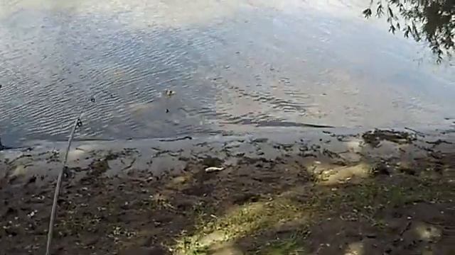 Рыбалка на самолов, СУПЕРСНАСТЬ на крупняка