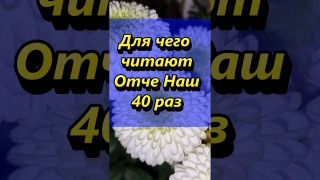 Для чего читают Отче Наш 40 раз