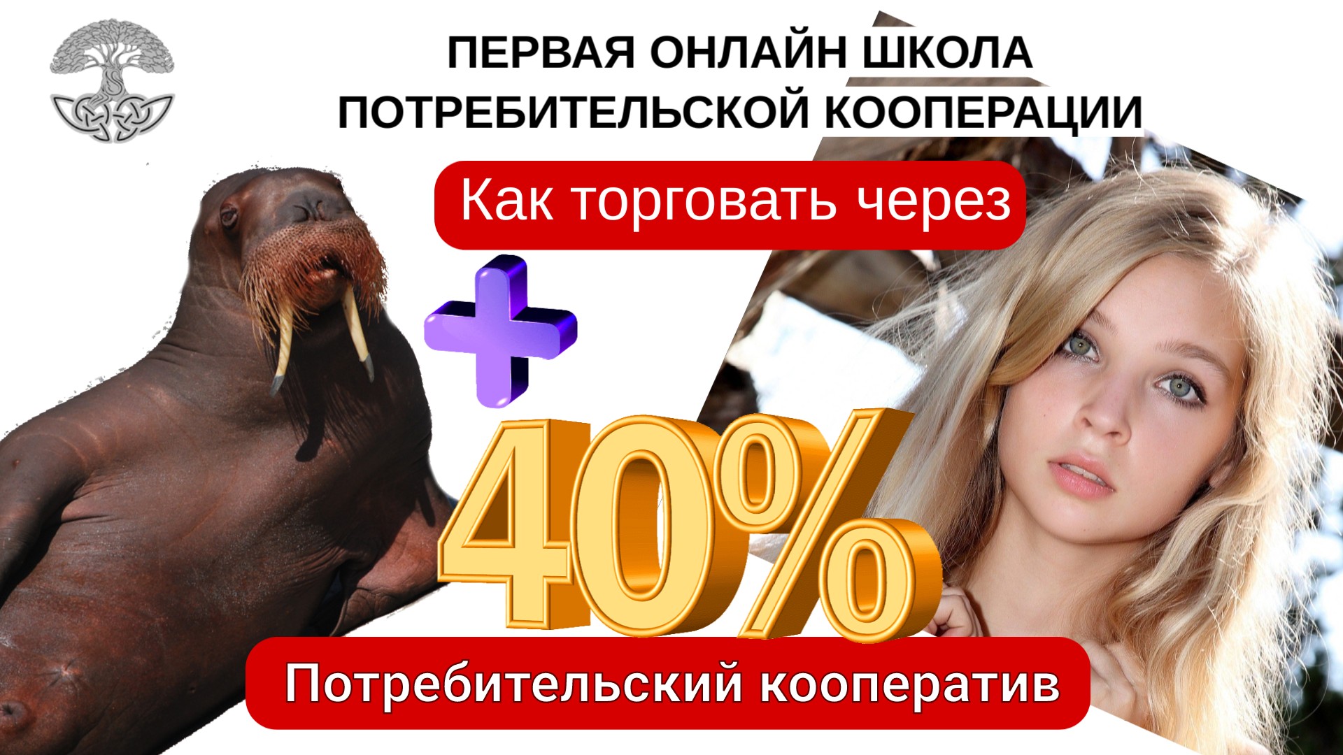 Прибыль в Потребительском кооперативе. Как торговать через ПК?
