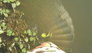 Косание воды на воздушном шаре