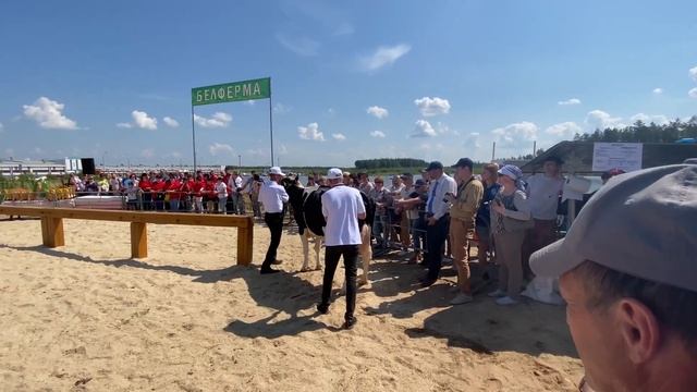 Лучшая дойная корова "Белагро-2022" смотреть онлайн