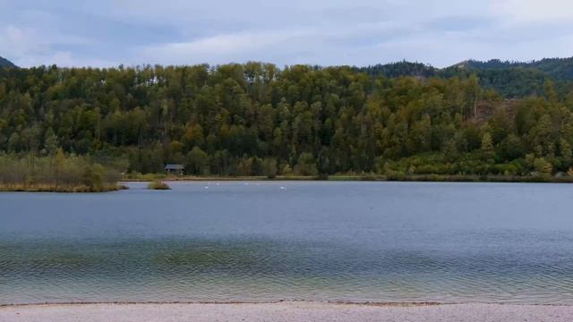 Музыка для сна. Прекрасная дикая природа под релакс музыку. Успокой свою душу и тело смотреть онлайн