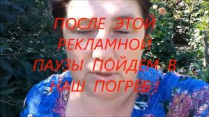 Хранение георгин зимой