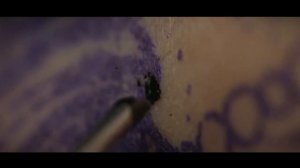 Процесс создания татуировки