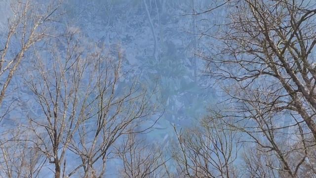 Весенний Лес смотреть онлайн