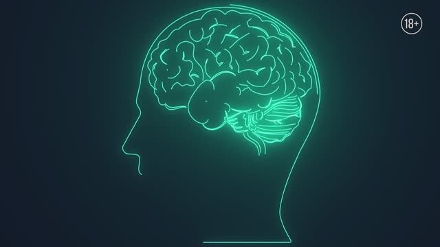 9 интересных фактов про мозг человека