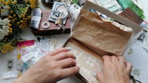 Обзор посылок (Китай, атс). Гербарий майский и августовский