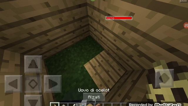 Как приручить оцелота и волка. Видео для новичков в minecraft.??? смотреть онлайн