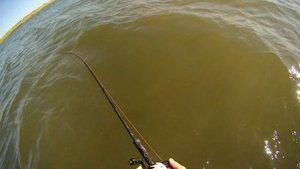 Ловля щуки на свимбейт.Часть 4.Savage Gear 4D Line-Thru Perch ставит РЕКОРД!!!