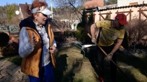 Создаём газон своими руками.Полная инструкция.Поэтапно.Сложности.#Дача#Сад СветаСветланы #Газон#