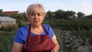 НИКОГДА НЕ ВЫБРАСЫВАЙТЕ СТРЕЛКИ ЧЕСНОКА. Домашние советы. Мой опыт.