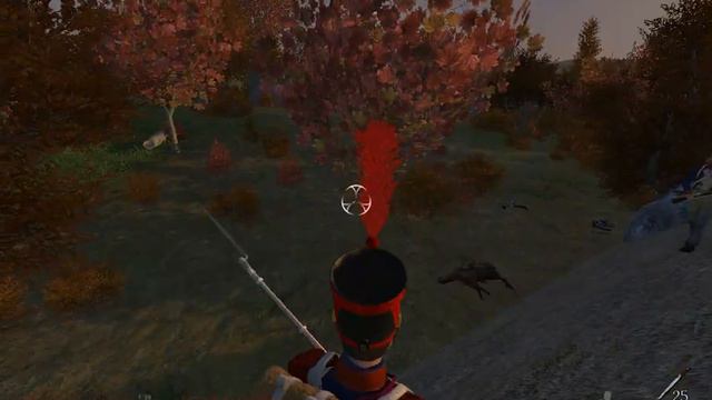 | Mount & Blade: Napoleonic Wars | Quality Test | смотреть онлайн