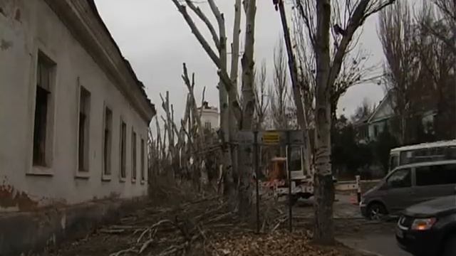 В городе «наводят красоту»: высаживают молодые деревья и обрезают - старые смотреть онлайн