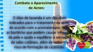 Os 10 Benefícios do Óleo de Lavanda Para Saúde! Dicas de Saúde