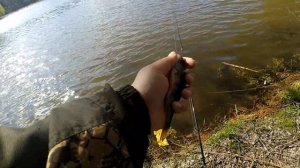 Мормышинг. Новинка сезона - Nautilus Nimfa. Рыбалка в городе