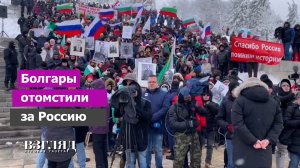 Бой с премьером на Шипке. Со снежками на начальство. Граждане Болгарии обиделись за Россию