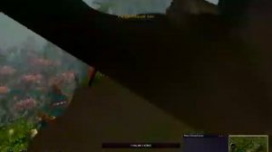 Гайд №1 Где купить вещи за очки чести