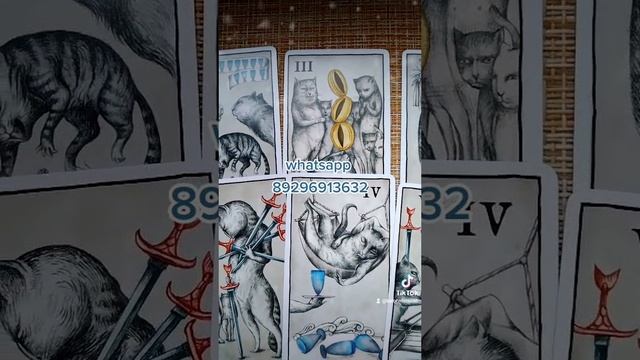 Гадания таро на бизнес онлайн Гадания таро на бизнес онлайн покупка франшизы минусы