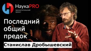 Последний общий предок – антрополог Станислав Дробышевский | Научпоп
