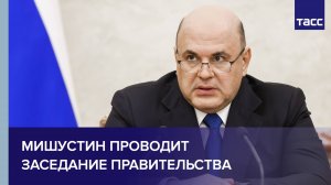 Мишустин проводит заседание правительства