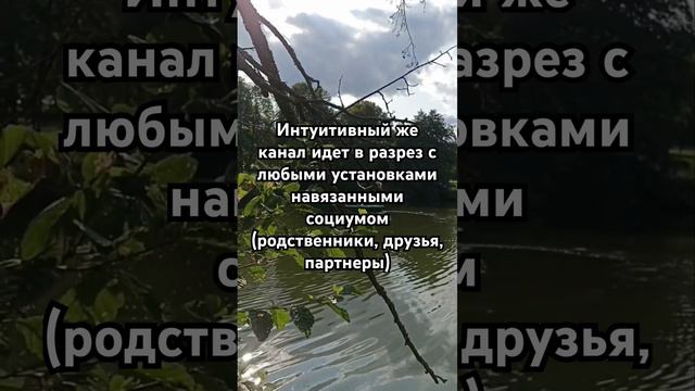 Разрыв шаблонов происходит через связь с душой ☝🏻 #эго #интуиция