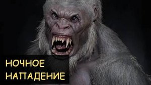 Страшная История - Ночное нападение