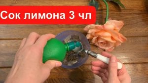 Желтые зубы станут белыми!Как отбелить  зубы дома за 4 минуты натуральными продуктами