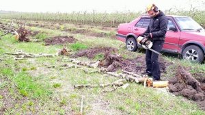 Пила универсальная Stihl ms 462