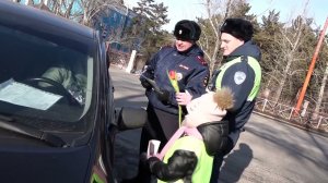 Вместо документов предъявите хорошее настроение. Сотрудники ГИБДД поздравили автоледи.