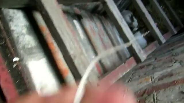 Как я спасал кроликов в 39 градусную жару! смотреть онлайн