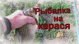 Рыбалка на карася, июнь