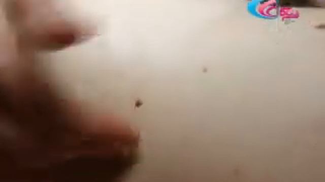 Спа программа для девушек в СПА БелыйЛотос