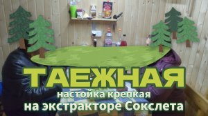 Таежная настойка на экстракторе Сокслета