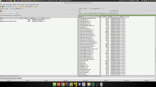 Java EE 44: CDI 1: Установка Tomcat EE