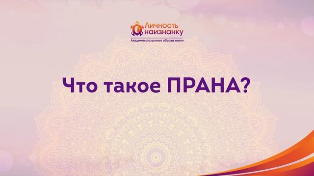 Что такое прана? Кондаков В. С. смотреть онлайн