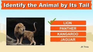 Can You Identify the Animal by Its Tail? | Guess Animals From their tails | Whose tail is it? |Quiz