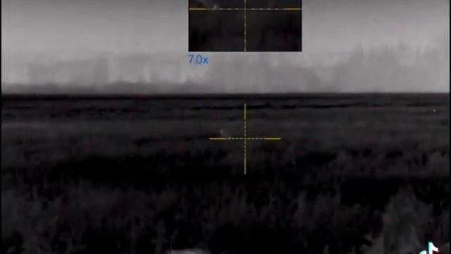 Pulsar trail 2 lrf. Тк518м. 366 ткм. Ночная охота на лису. Охота2021. Охота с ланкастером. смотреть онлайн